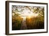 Golden Jetty-Stefan Hefele-Framed Giclee Print