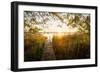 Golden Jetty-Stefan Hefele-Framed Giclee Print