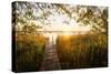 Golden Jetty-Stefan Hefele-Stretched Canvas