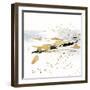 Golden Kelp III-Ethan Harper-Framed Art Print