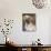 Golden Labrador Retriever Dog Portrait-Lynn M. Stone-Photographic Print displayed on a wall