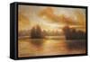 Golden Lake Glow I-Michael Marcon-Framed Stretched Canvas