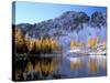 Golden Larch Trees and Sawtooth Ridge, Upper Eagle Lake, Okanogan National Forest, Washington, USA-null-Stretched Canvas