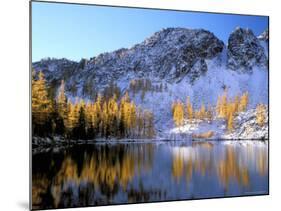 Golden Larch Trees and Sawtooth Ridge, Upper Eagle Lake, Okanogan National Forest, Washington, USA-null-Mounted Photographic Print