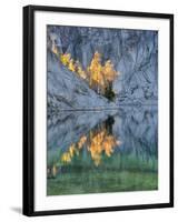 Golden Larch Trees, Enchantment Lakes, Alpine Lakes Wilderness, Washington, Usa-Jamie & Judy Wild-Framed Photographic Print