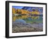 Golden Larch Trees, Enchantment Lakes, Alpine Lakes Wilderness, Washington, Usa-Jamie & Judy Wild-Framed Photographic Print