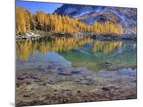 Golden Larch Trees, Enchantment Lakes, Alpine Lakes Wilderness, Washington, Usa-Jamie & Judy Wild-Mounted Photographic Print