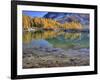 Golden Larch Trees, Enchantment Lakes, Alpine Lakes Wilderness, Washington, Usa-Jamie & Judy Wild-Framed Photographic Print