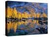 Golden Larch Trees Reflected in Leprechaun Lake, Enchantment Lakes, Alpine Lakes Wilderness-Jamie & Judy Wild-Stretched Canvas