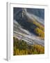 Golden larches (larix) in Val Venegia. Pale di San Martino in the Dolomites of Trentino.-Martin Zwick-Framed Photographic Print