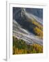 Golden larches (larix) in Val Venegia. Pale di San Martino in the Dolomites of Trentino.-Martin Zwick-Framed Photographic Print