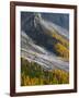 Golden larches (larix) in Val Venegia. Pale di San Martino in the Dolomites of Trentino.-Martin Zwick-Framed Photographic Print