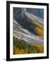 Golden larches (larix) in Val Venegia. Pale di San Martino in the Dolomites of Trentino.-Martin Zwick-Framed Photographic Print