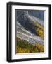 Golden larches (larix) in Val Venegia. Pale di San Martino in the Dolomites of Trentino.-Martin Zwick-Framed Photographic Print