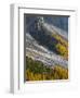 Golden larches (larix) in Val Venegia. Pale di San Martino in the Dolomites of Trentino.-Martin Zwick-Framed Photographic Print