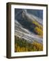 Golden larches (larix) in Val Venegia. Pale di San Martino in the Dolomites of Trentino.-Martin Zwick-Framed Photographic Print