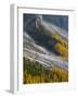 Golden larches (larix) in Val Venegia. Pale di San Martino in the Dolomites of Trentino.-Martin Zwick-Framed Photographic Print