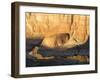 Golden Late Afternoon Reflections in a Side Canyon of Lake Powell-Eric Peter Black-Framed Photographic Print