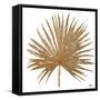 Golden Leaf Palm I-Patricia Pinto-Framed Stretched Canvas