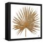 Golden Leaf Palm I-Patricia Pinto-Framed Stretched Canvas