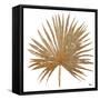Golden Leaf Palm I-Patricia Pinto-Framed Stretched Canvas