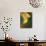 Golden Leaf-Nicole Katano-Photo displayed on a wall