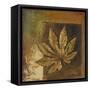 Golden Leaves II-Patricia Pinto-Framed Stretched Canvas