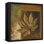 Golden Leaves II-Patricia Pinto-Framed Stretched Canvas