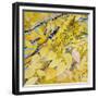 Golden Leaves-Sharon Pitts-Framed Giclee Print