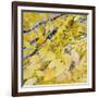 Golden Leaves-Sharon Pitts-Framed Giclee Print