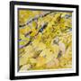 Golden Leaves-Sharon Pitts-Framed Giclee Print