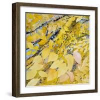 Golden Leaves-Sharon Pitts-Framed Giclee Print