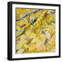 Golden Leaves-Sharon Pitts-Framed Giclee Print