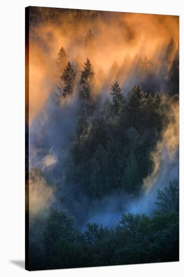 Golden Light Beams & Fog Abstract Mount Hood Wilderness Sandy Oregon Pacific Northwest-Vincent James-Stretched Canvas