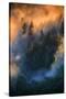 Golden Light Beams & Fog Abstract Mount Hood Wilderness Sandy Oregon Pacific Northwest-Vincent James-Stretched Canvas