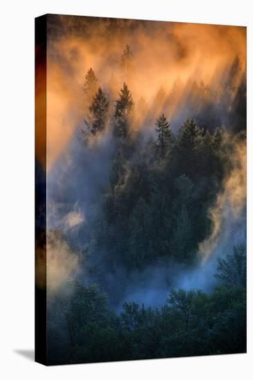 Golden Light Beams & Fog Abstract Mount Hood Wilderness Sandy Oregon Pacific Northwest-Vincent James-Stretched Canvas