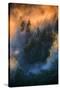 Golden Light Beams & Fog Abstract Mount Hood Wilderness Sandy Oregon Pacific Northwest-Vincent James-Stretched Canvas