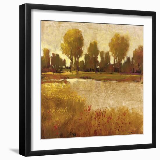 Golden Light II-Patrick-Framed Giclee Print