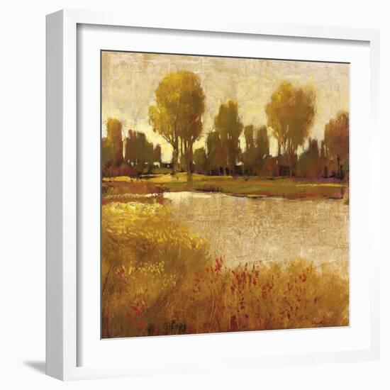 Golden Light II-Patrick-Framed Giclee Print