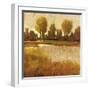 Golden Light II-Patrick-Framed Giclee Print