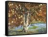 Golden Light II-Graham Reynolds-Framed Stretched Canvas