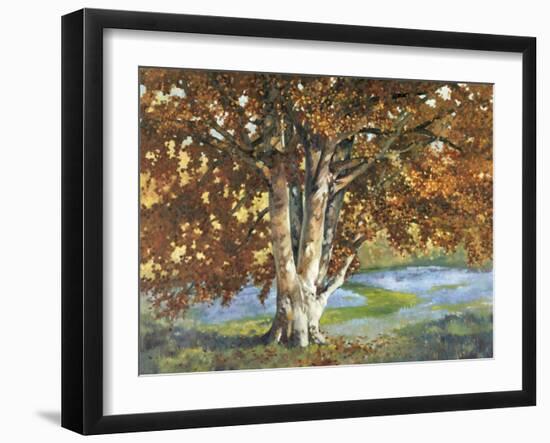 Golden Light II-Graham Reynolds-Framed Art Print