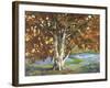 Golden Light II-Graham Reynolds-Framed Art Print