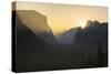 Golden Light in the Yosemite National Park, California-Marco Isler-Stretched Canvas