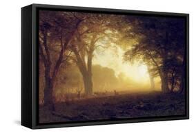 Golden Light of California-Albert Bierstadt-Framed Stretched Canvas