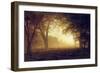 Golden Light of California-Albert Bierstadt-Framed Giclee Print