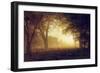 Golden Light of California-Albert Bierstadt-Framed Giclee Print