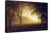 Golden Light of California-Albert Bierstadt-Framed Stretched Canvas