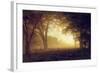 Golden Light of California-Albert Bierstadt-Framed Giclee Print