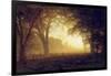 Golden Light of California-Albert Bierstadt-Framed Giclee Print